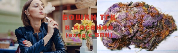 шишки Балабаново