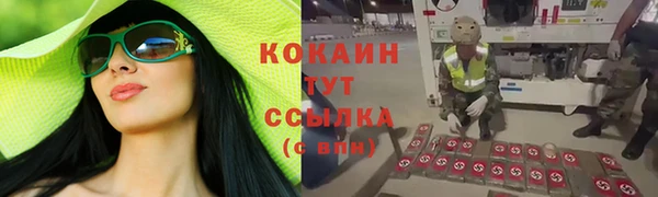 шишки Балабаново