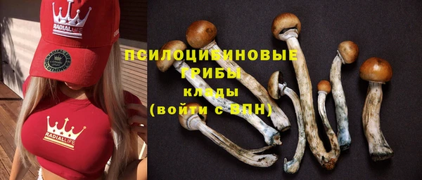 каннабис Беломорск