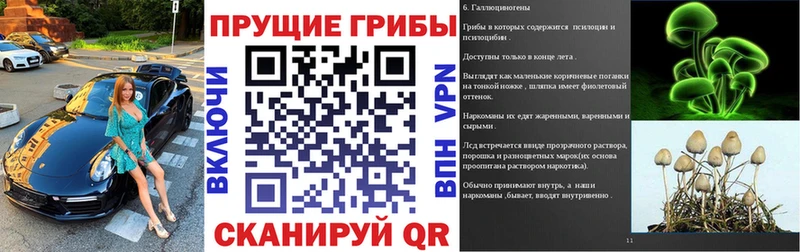 Псилоцибиновые грибы прущие грибы  купить   Кущёвская 