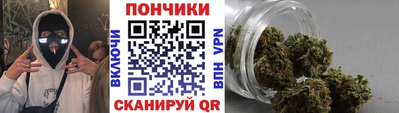Бошки Шишки семена  Кущёвская 